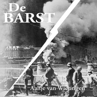 De barst - Aaltje van Wieringen (ISBN 9789464936179)