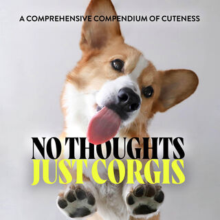 No Thoughts Just Corgis - Union Square & Co. (ISBN 9781454951858)