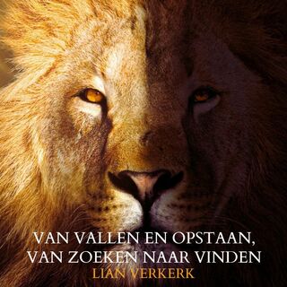 Van vallen en opstaan, van zoeken naar vinden - Lian Verkerk (ISBN 9789465204369)
