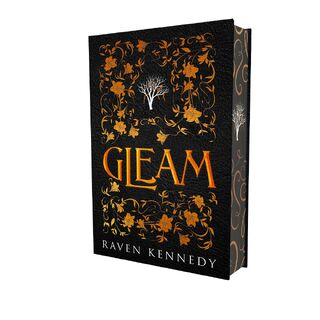 Gleam - Raven Kennedy (ISBN 9789464406832)