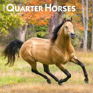 Quarter Horses 2026 Square Flap Calendar - Browntrout Publishers (ISBN 9798330705290)