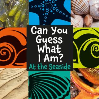 Can You Guess What I Am?: At the Seaside - J.P. Percy (ISBN 9781445144764)