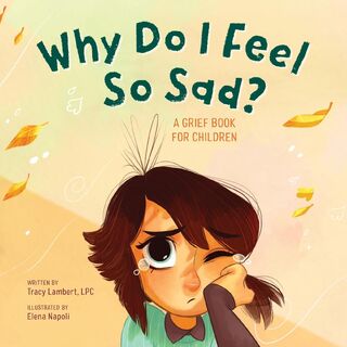 Why Do I Feel So Sad? - Tracy Lambert (ISBN 9781646117130)