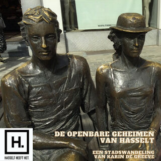 De openbare geheimen van Hasselt - Karin De Greeve (ISBN 9789462665378)