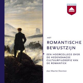 Het romantische bewustzijn - Maarten Doorman (ISBN 9789085309192)