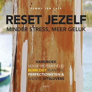 Reset jezelf: minder stress, meer geluk - Femmy ten Cate (ISBN 9789402601077)