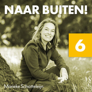 Naar buiten! Boek 6 - Hollend door het Drents-Friese Wold - Marieke Schatteleijn (ISBN 9789043941679)