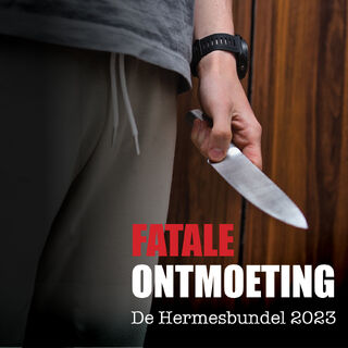 Fatale ontmoeting - Diverse Auteurs (ISBN 9789464938982)