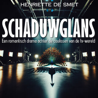 Schaduwglans - Henriette de Smet (ISBN 9789464939156)
