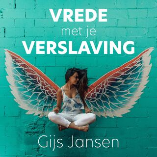 Vrede met je verslaving - Gijs Jansen (ISBN 9789083616711)