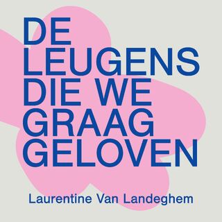 De leugens die we graag geloven - Laurentine Van Landeghem (ISBN 9789043544009)