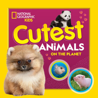 Cutest Animals on the Planet - Kids National Geographic (ISBN 9781426339226)