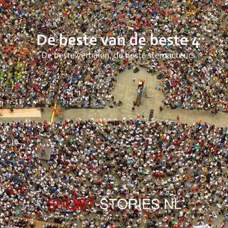 De beste van de beste - Janwillem van de Wetering, Kiotar Mishimoto, Peter Cheybey, Robert van Gulik, David Elay, Norman Mailer, H.P. Lovecraft, Hans Dorrestijn, Paul Rodenko (ISBN 9789464939910)