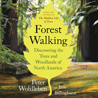 FOREST WALKING - Peter Wohlleben (ISBN 9781771643313)