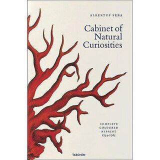 Cabinet of natural curiosities - Albertus Seba, Irmgard Müsch (ISBN 9783822816004)
