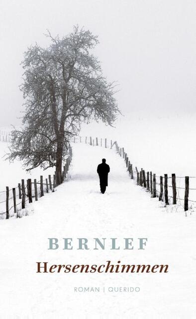 Hersenschimmen - J. Bernlef Hersenschimmen - J. Bernlef