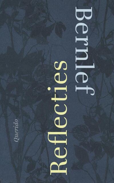 Reflecties - Bernlef Reflecties - Bernlef