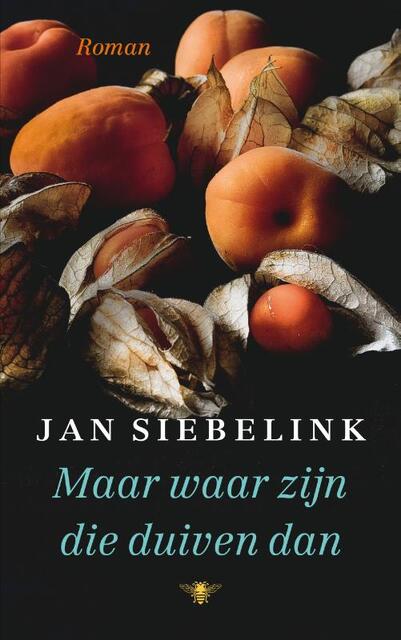 Maar waar zijn die duiven dan - Jan Siebelink Maar waar zijn die duiven dan - Jan Siebelink