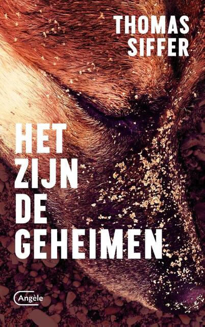 Het zijn de geheimen - Thomas Siffer Het zijn de geheimen - Thomas Siffer