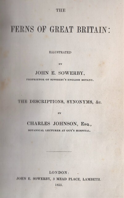 The ferns of Great Britain. The descriptions, synonyms etc. / The fern allies: a supplement to the ferns of Great Britain - John E. Sowerby, Charles Johnson The ferns of Great Britain. The descriptions, synonyms etc. / The fern allies: a supplement to the ferns of Great Britain - John E. Sowerby, Charles Johnson