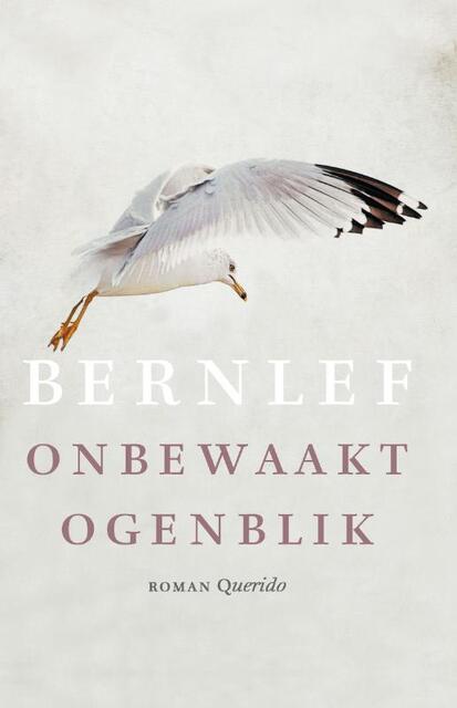 Onbewaakt ogenblik - Bernlef Onbewaakt ogenblik - Bernlef