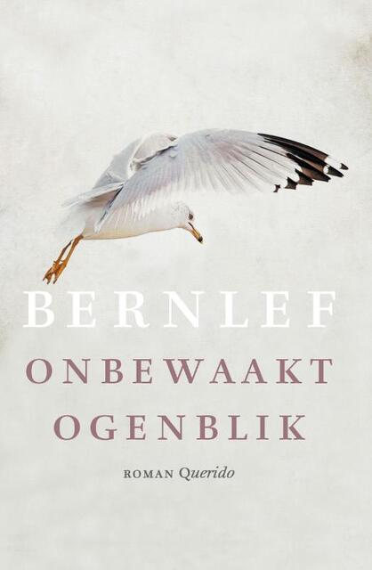 Onbewaakt ogenblik - Bernlef Onbewaakt ogenblik - Bernlef