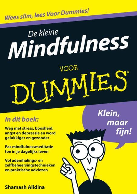 De kleine Mindfulness voor dummies - Shamash Alidina De kleine Mindfulness voor dummies - Shamash Alidina
