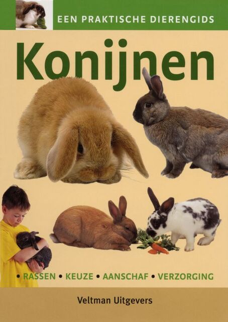Konijnen - Unknown Konijnen - Unknown