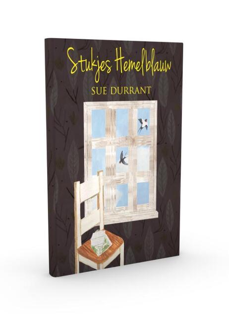 Little bits of sky - Sue Durrant Little bits of sky - Sue Durrant