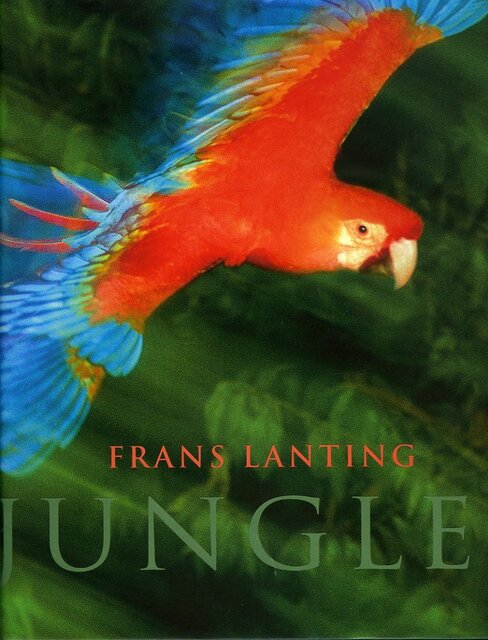 Jungles - Frans Lanting Jungles - Frans Lanting