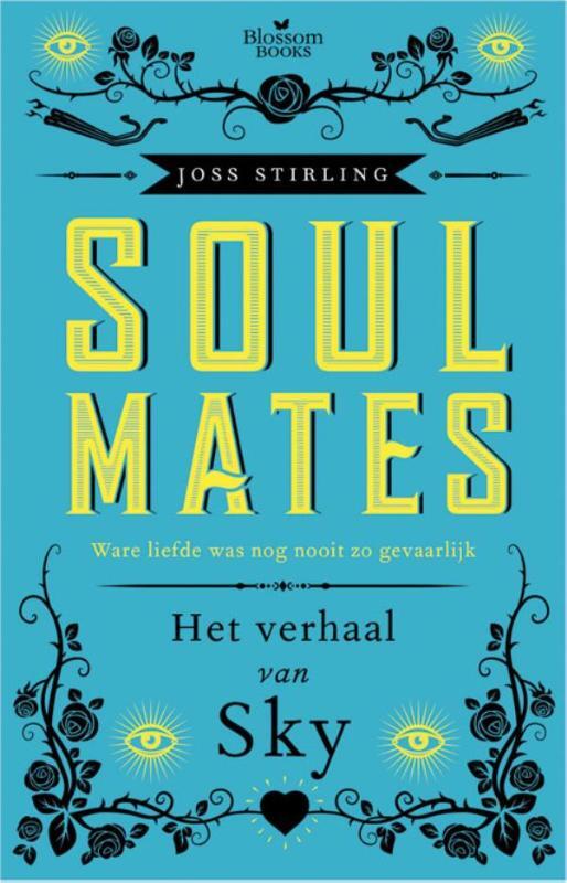 Het verhaal van Sky - Joss Stirling - (ISBN: 9789020679915) | De Slegte