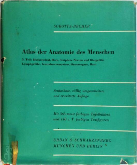 Atlas der Anatomie des menschen - Sobotta-Becher Atlas der Anatomie des menschen - Sobotta-Becher