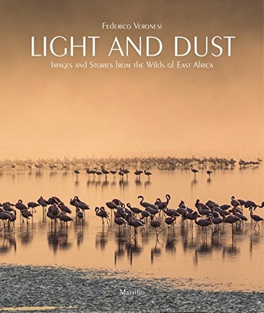 Light and dust - federico veronesi Light and dust - federico veronesi