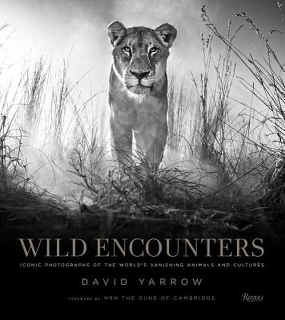 Wild Encounters - Wild Encounters -
