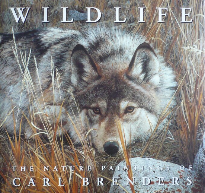 Wildlife the Nature Paintings of Carl Brenders - Carl Brenders Wildlife the Nature Paintings of Carl Brenders - Carl Brenders