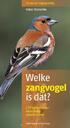 Toon afbeelding 1