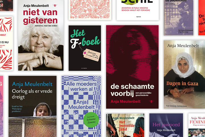 Anja Meulenbelt wint P.C. Hooft-prijs