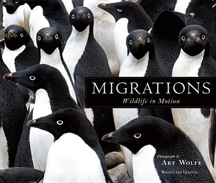 Migrations - Barbara Sleeper Migrations - Barbara Sleeper