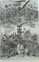 Toon afbeelding 1