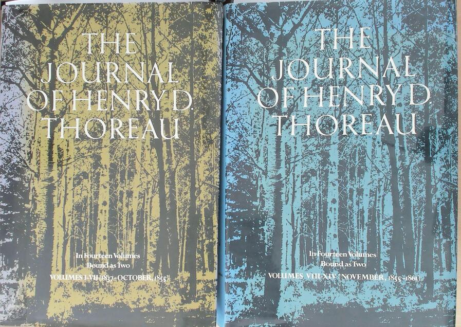 The Journal of Henry D. Thoreau Edited By Bradford Torrey And Francis