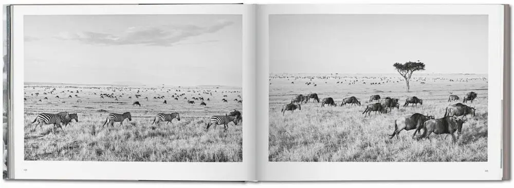 Sebastiao Salgado. Africa - Mia Couto 4