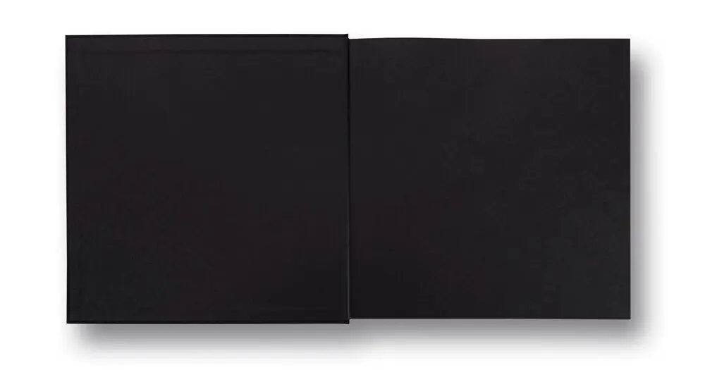 Masahisa Fukase – Ravens 3