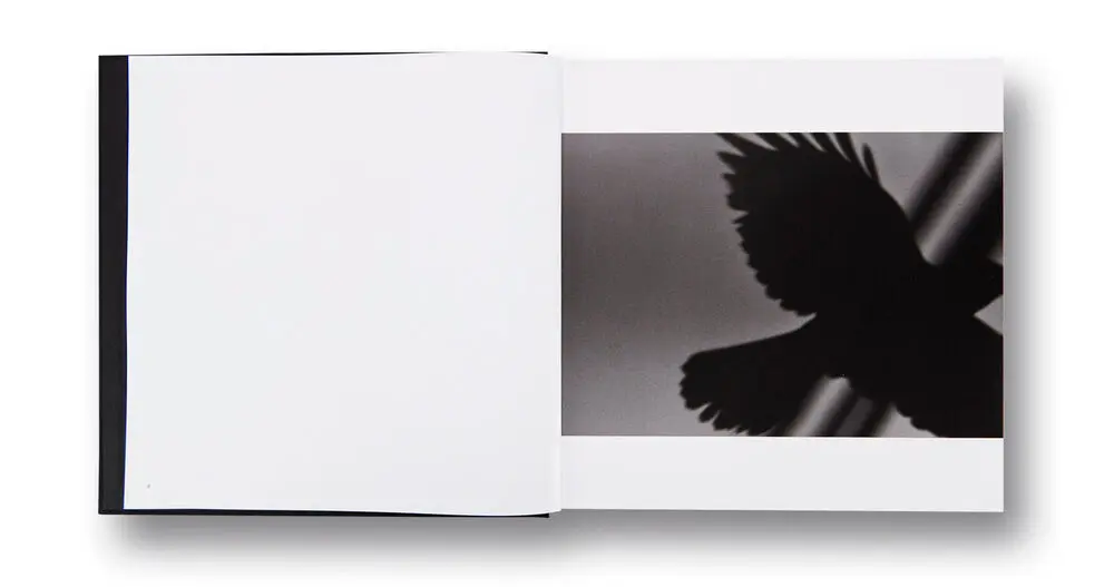 Masahisa Fukase – Ravens 5