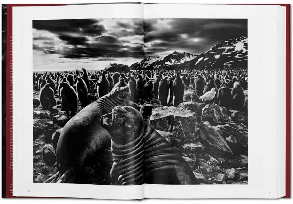 Sebastiao Salgado. Genesis - Lelia Wanick Salgado 5