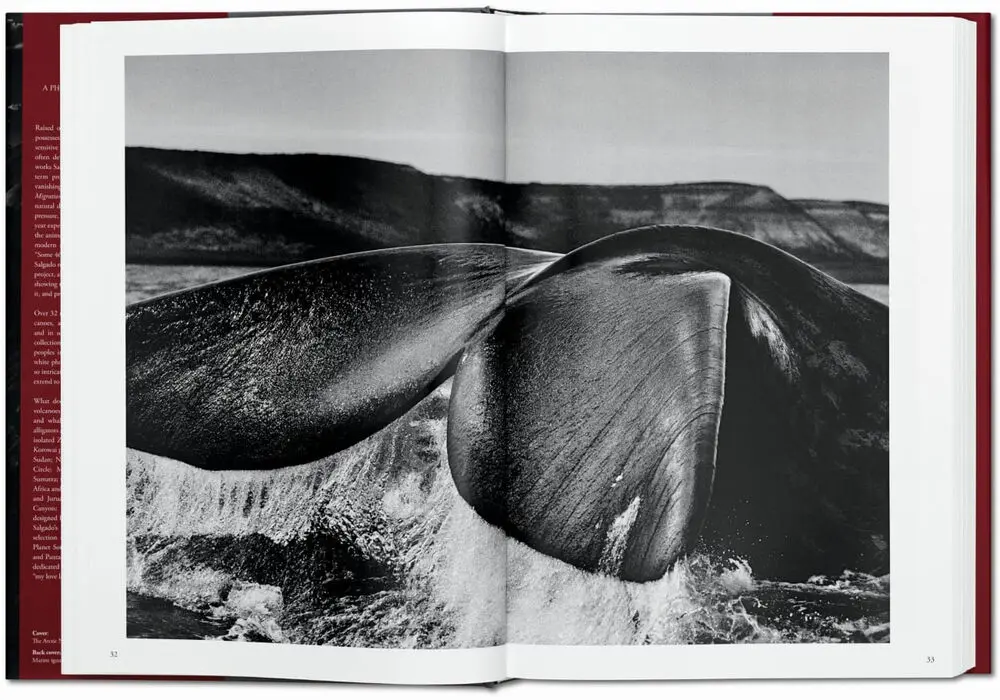 Sebastiao Salgado. Genesis - Lelia Wanick Salgado 4