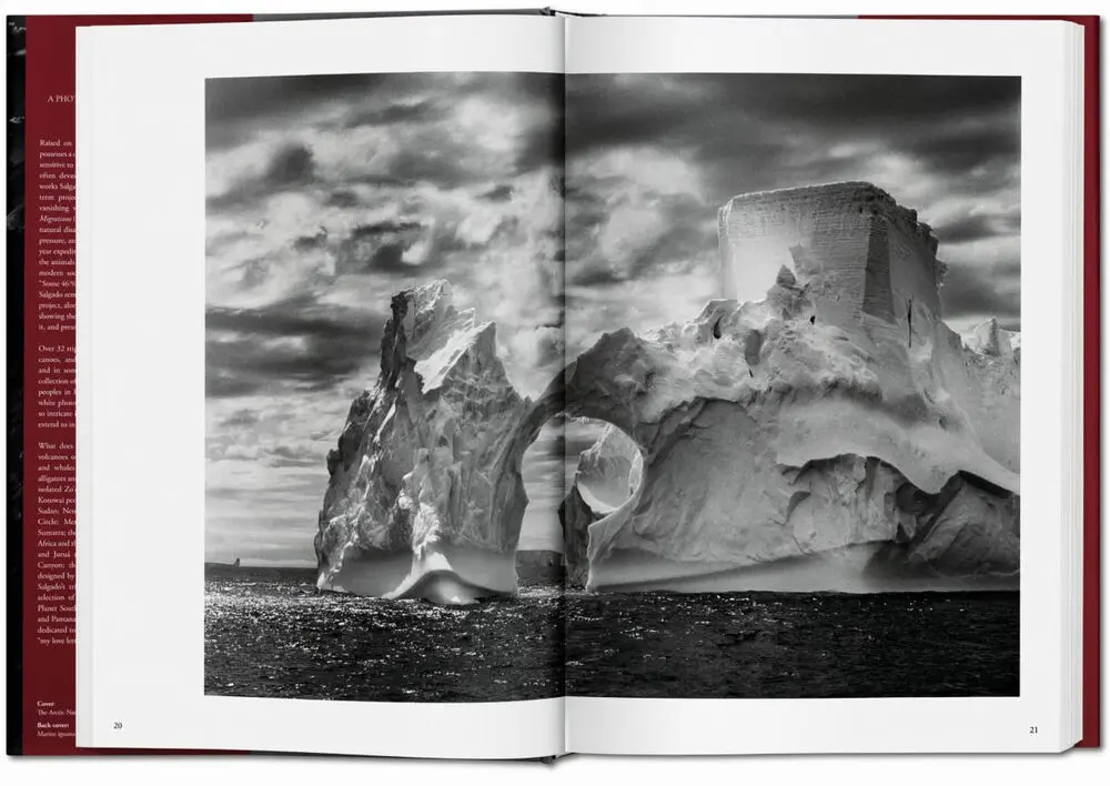 Sebastiao Salgado. Genesis - Lelia Wanick Salgado 3