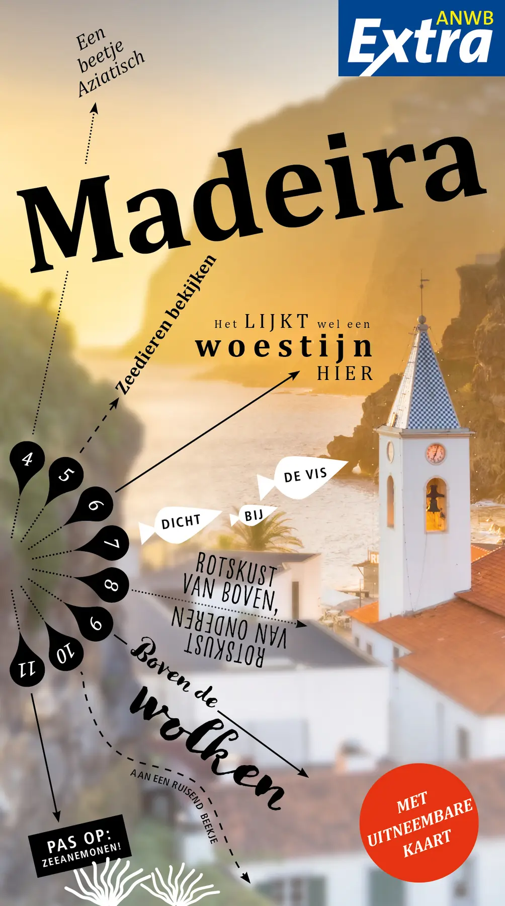 Madeira - Susanne Lipps 1