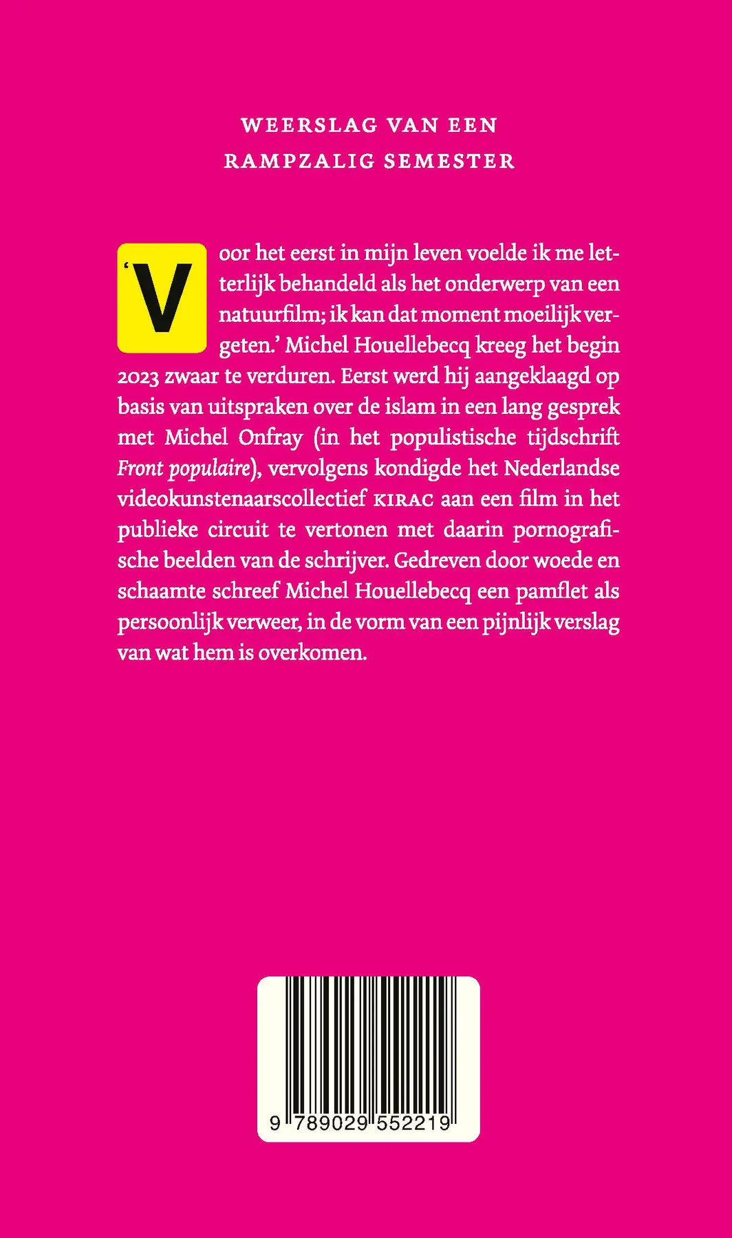 Een paar maanden van mijn leven - Michel Houellebecq 2