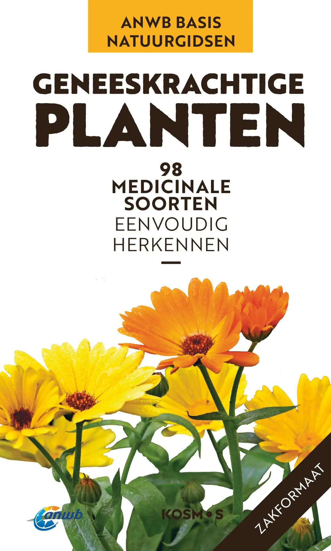Geneeskrachtige planten - Eva-Maria Dreyer 1