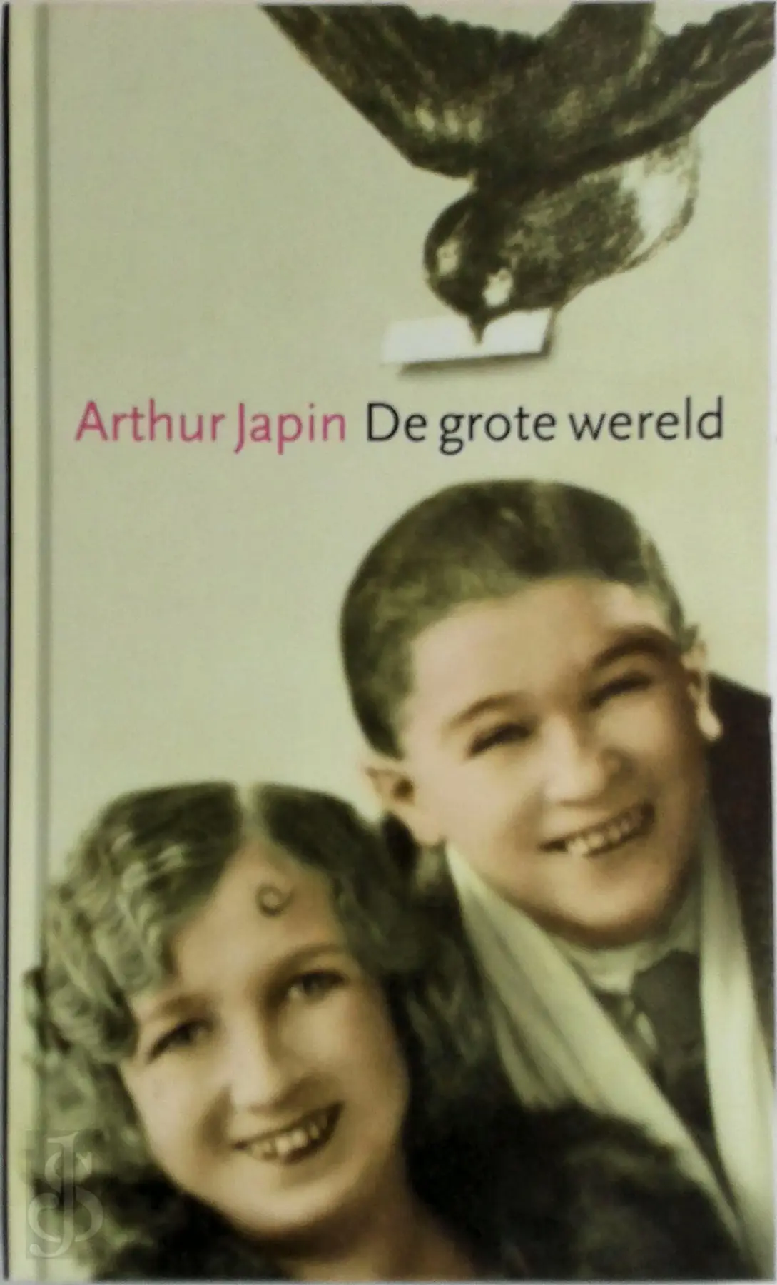 De grote wereld - Arthur Japin 1